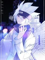 pr九天狐科技升级版